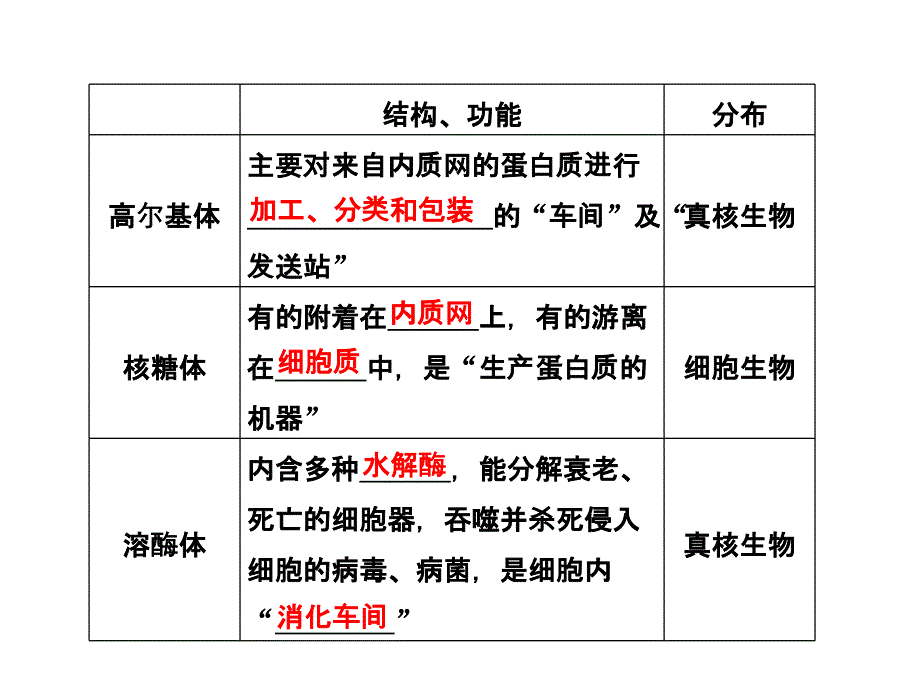 必修一第三章第2节细胞器系统内的分工合作_第4页