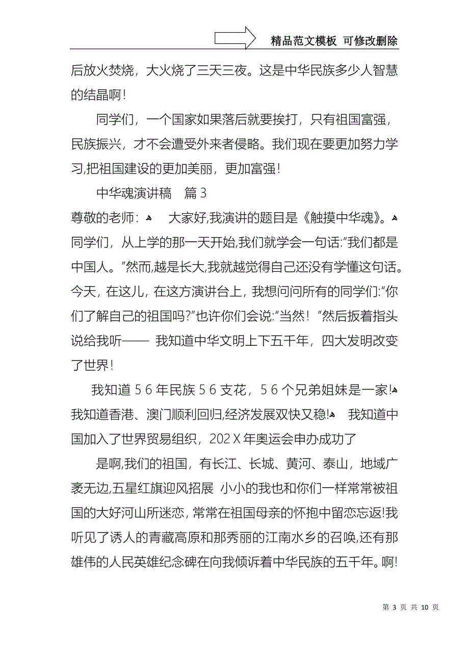 中华魂演讲稿模板汇编六篇1_第3页