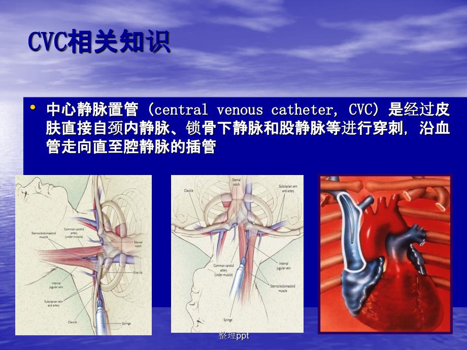 201x院内静疗专科护士培训班第一期第一_第2页