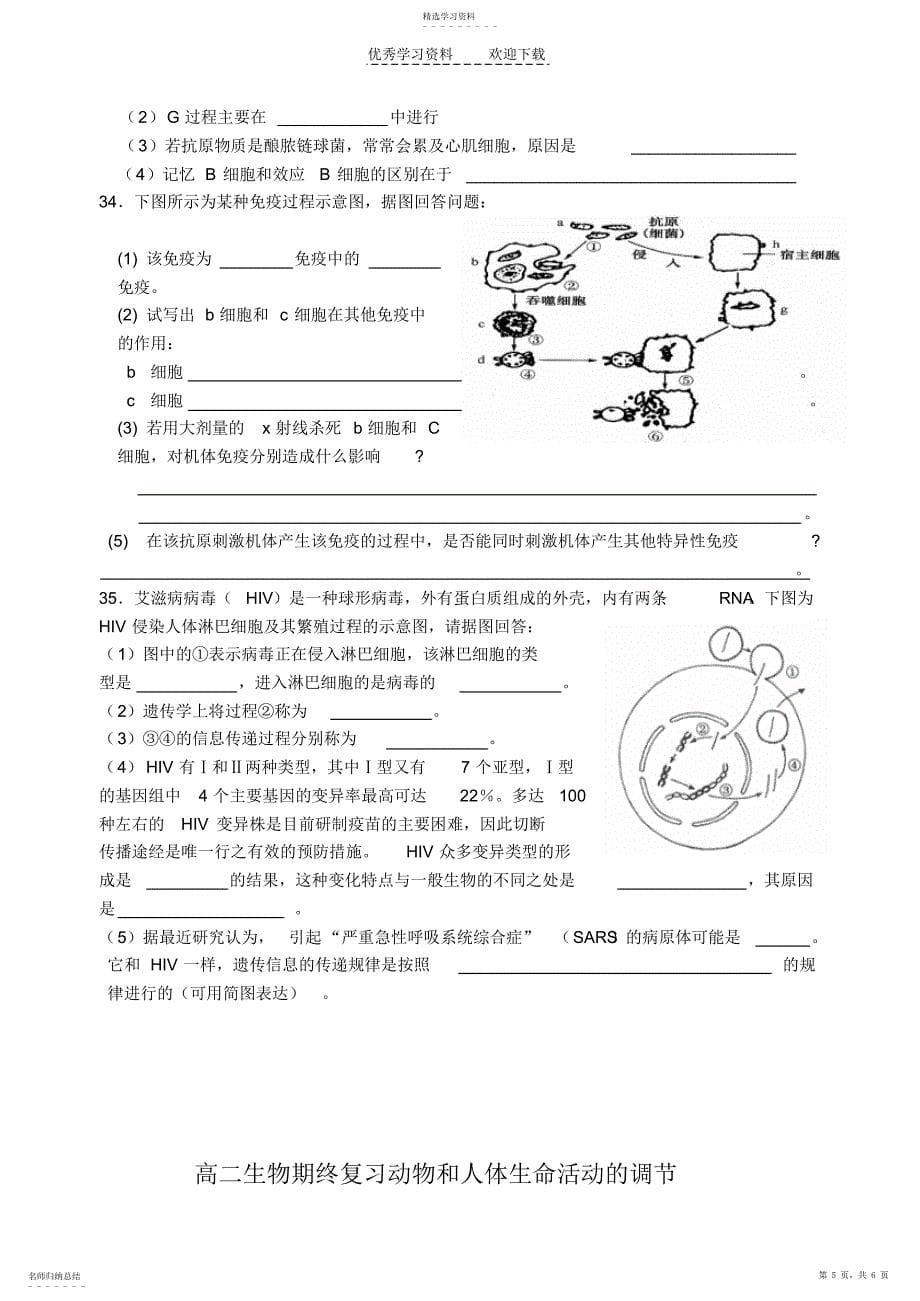 2022年高二生物期终复习动物和人体生命活动的调节_第5页