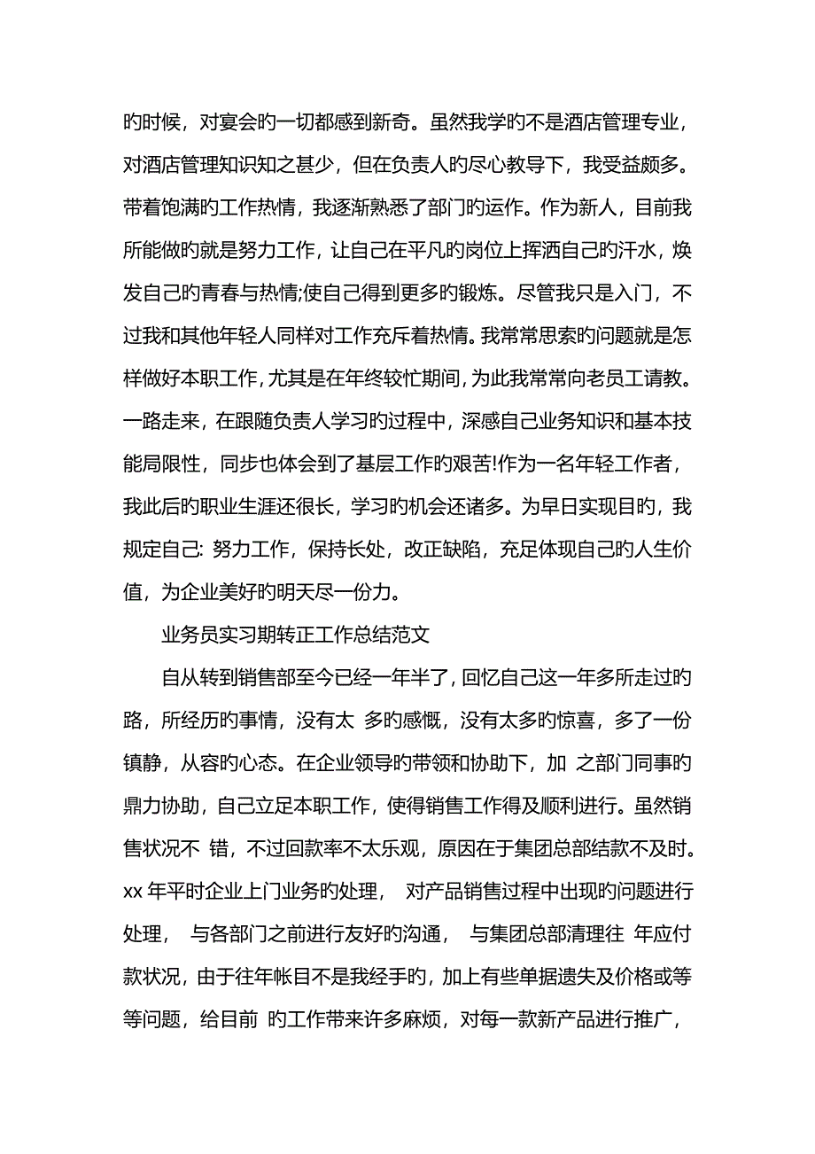 业务员实习期转正工作总结范文_第2页