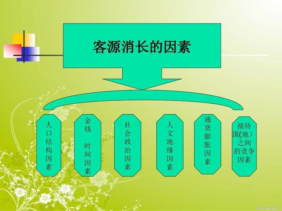 《旅游市场的划分》PPT课件.ppt_第5页