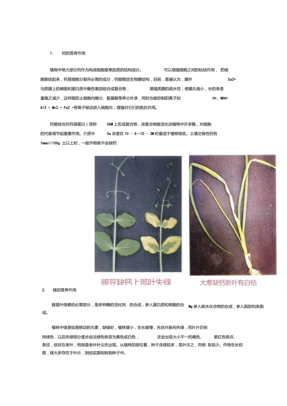 植物所需各元素及其作用_第3页