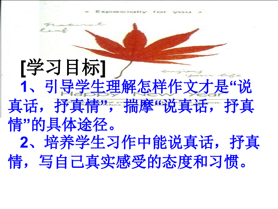 100作文训练(说真话__抒真情_第3页