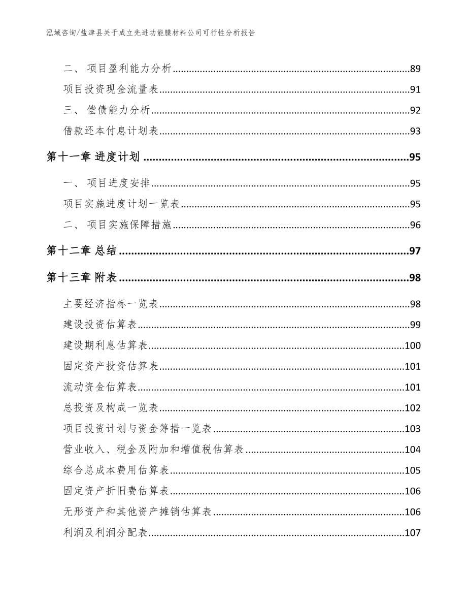 盐津县关于成立先进功能膜材料公司可行性分析报告_第5页