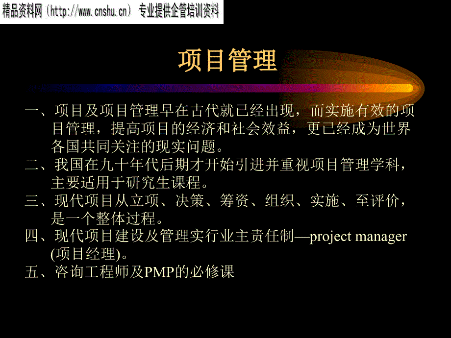 现代企业项目管理方案_第2页