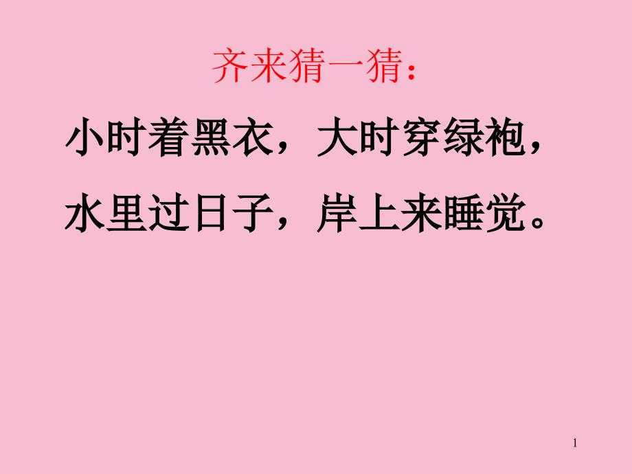 人教版第三节两栖动物的生殖和发育ppt课件_第1页