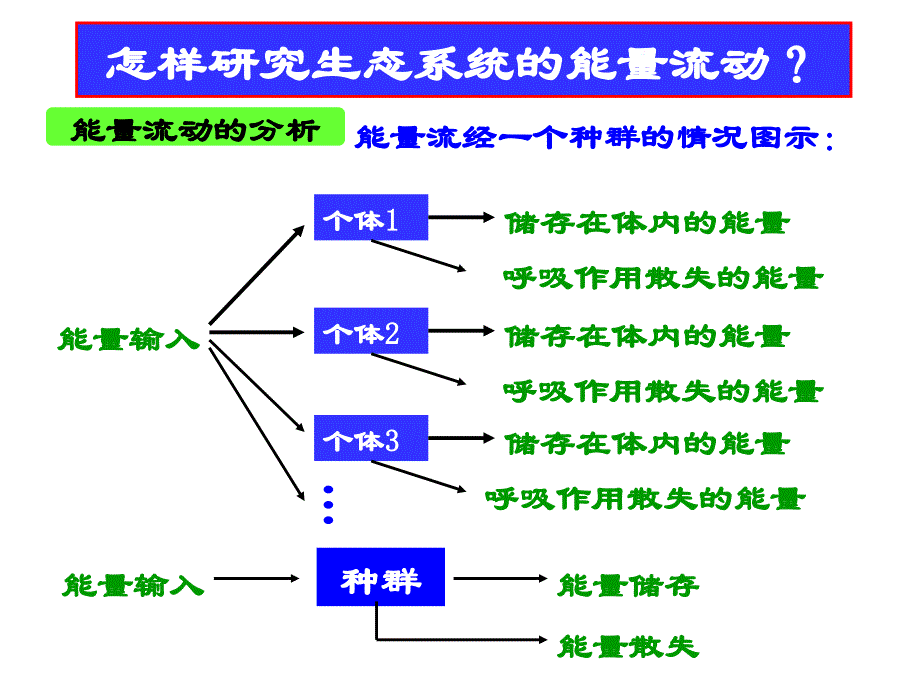 生态系统的能量流动.ppt_第4页