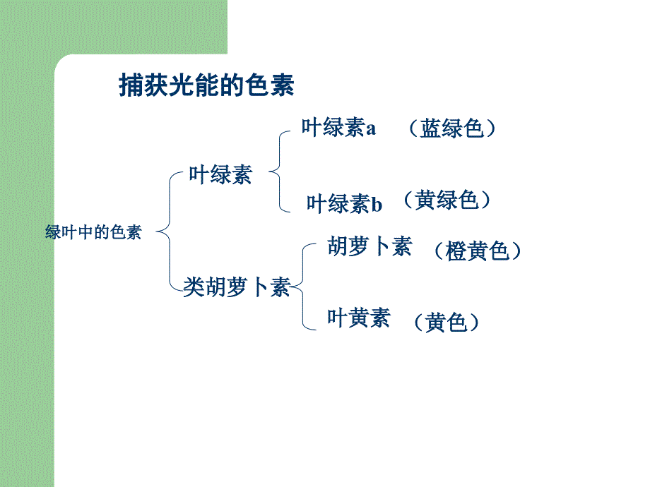 碳反应叶绿体基质课件_第4页