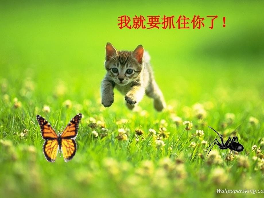 必修一生物高一第五章细胞的能量“通货”——ATP_第5页