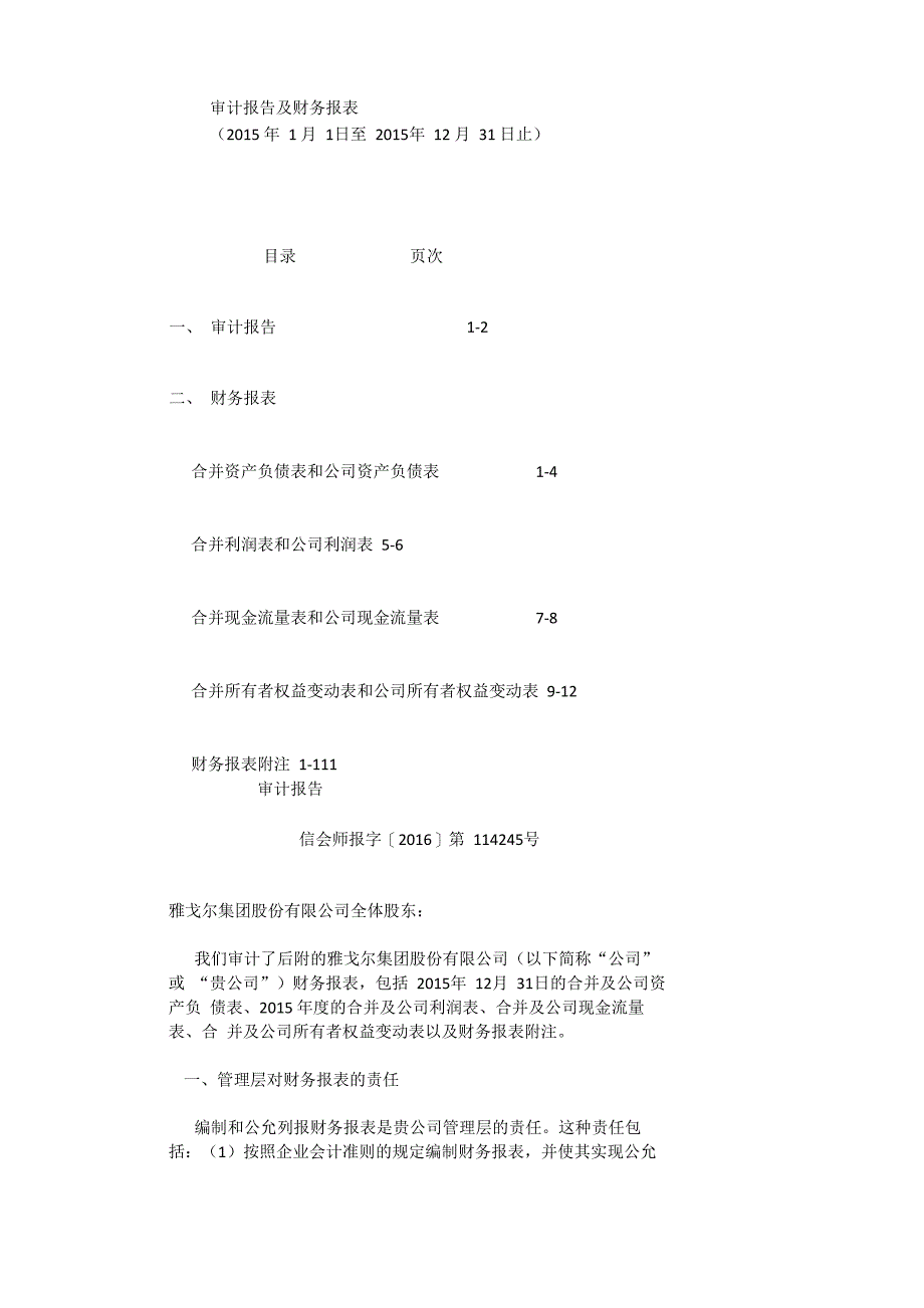 审计报告及财务报表_第1页