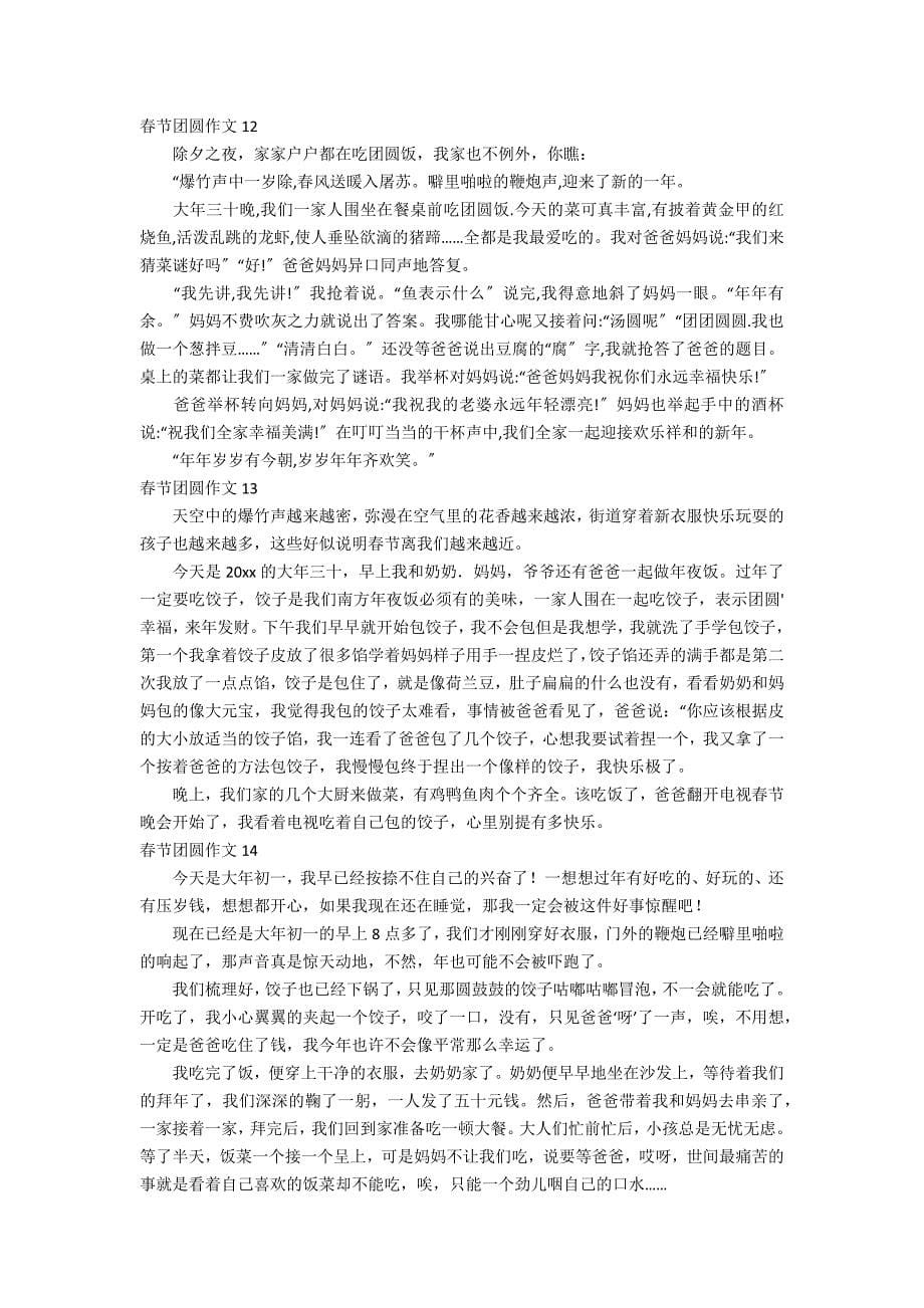 春节团圆作文15篇_第5页