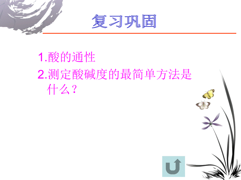 814常见的盐粤教版_第2页