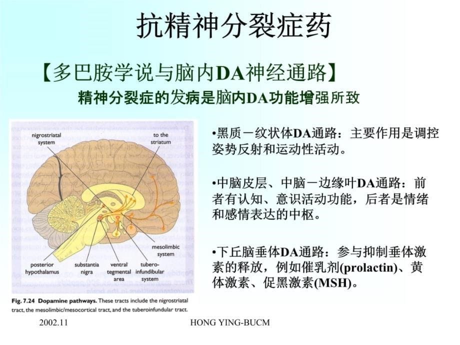 药理学抗精神失常药教学案例课件_第5页