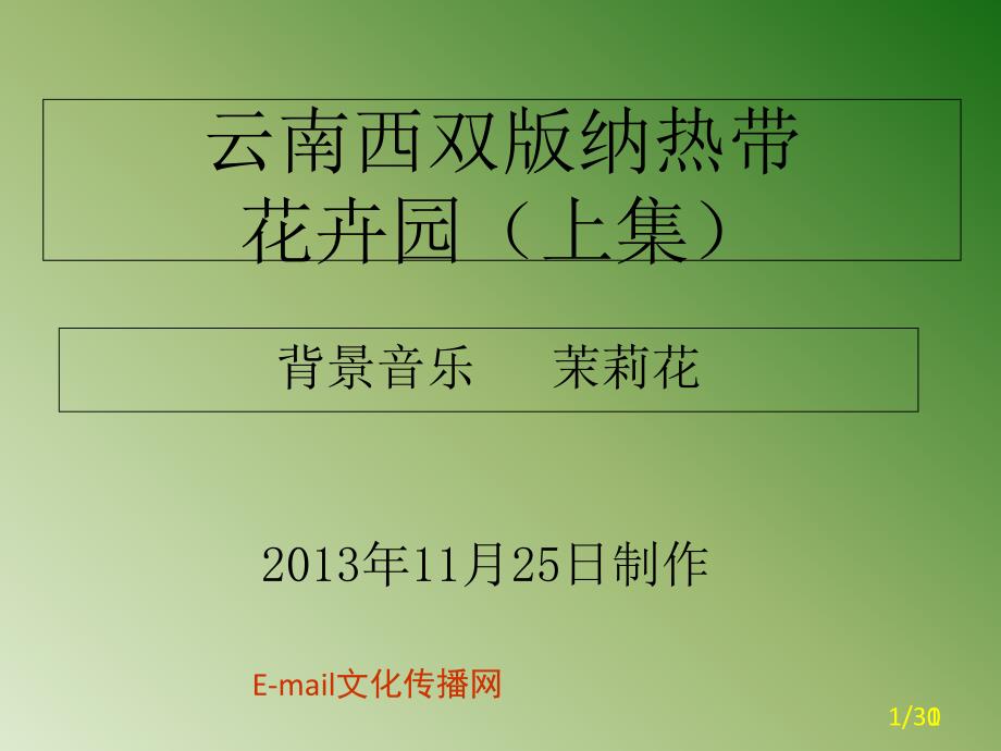 云南西双版纳热带花卉园上集_第1页