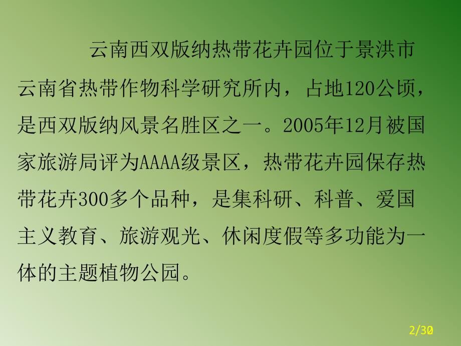 云南西双版纳热带花卉园上集_第2页