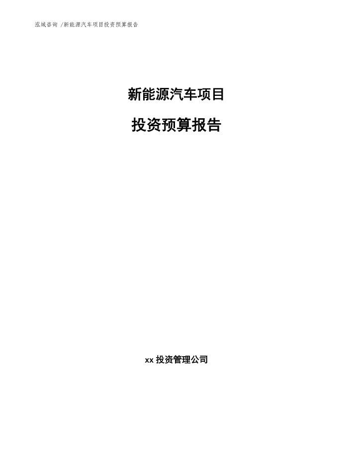 新能源汽车项目投资预算报告（参考范文）