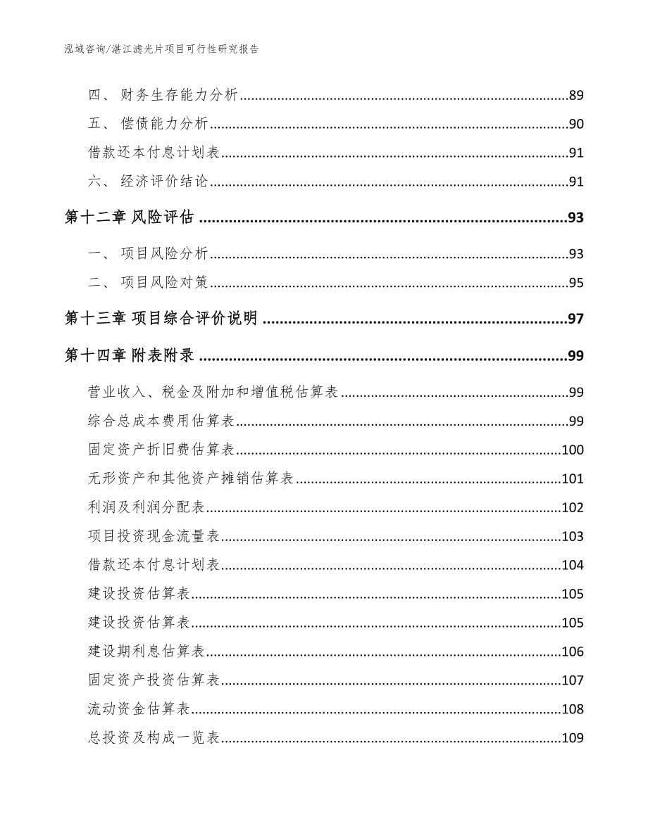 湛江滤光片项目可行性研究报告【模板】_第5页