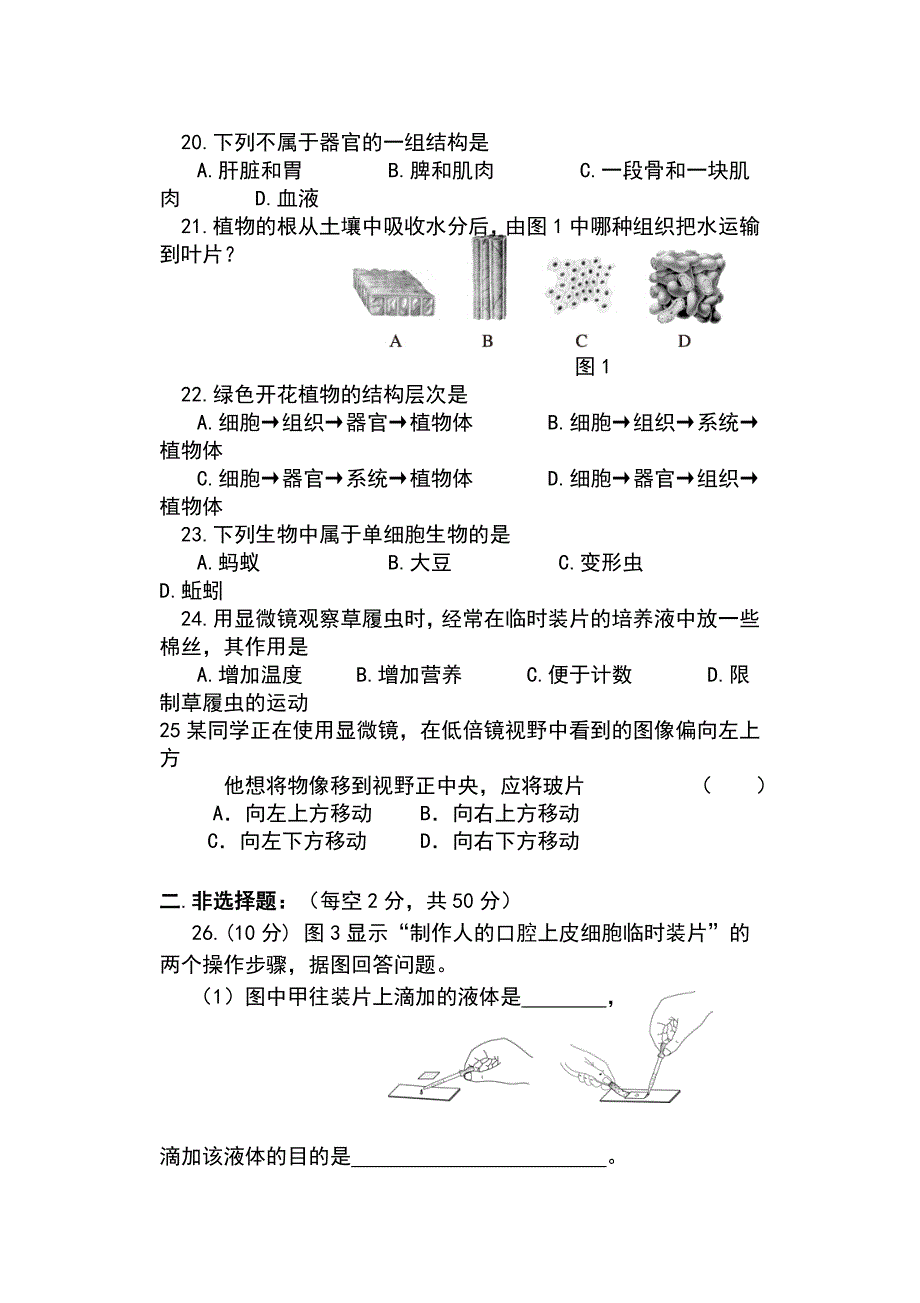 人教版七年级生物上册期中考试卷及答案_第3页