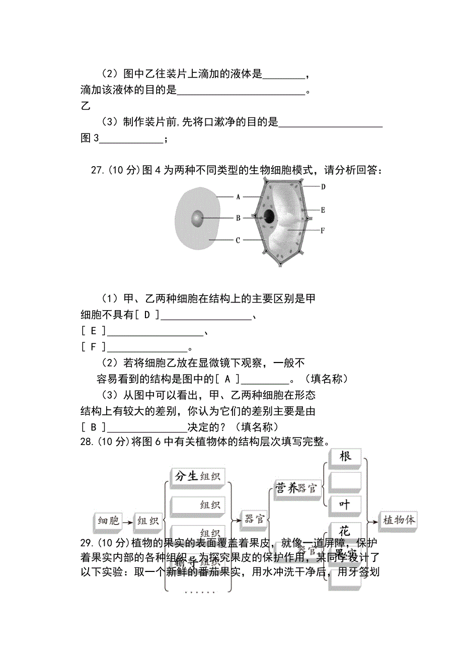 人教版七年级生物上册期中考试卷及答案_第4页