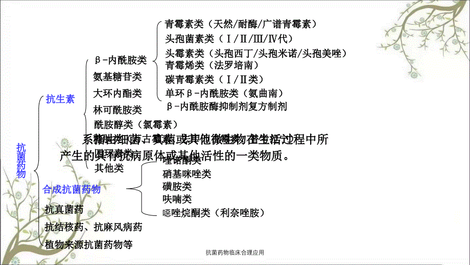 抗菌药物临床合理应用课件_第4页