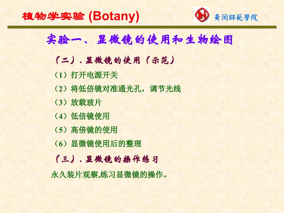 植物形态学实验_第4页