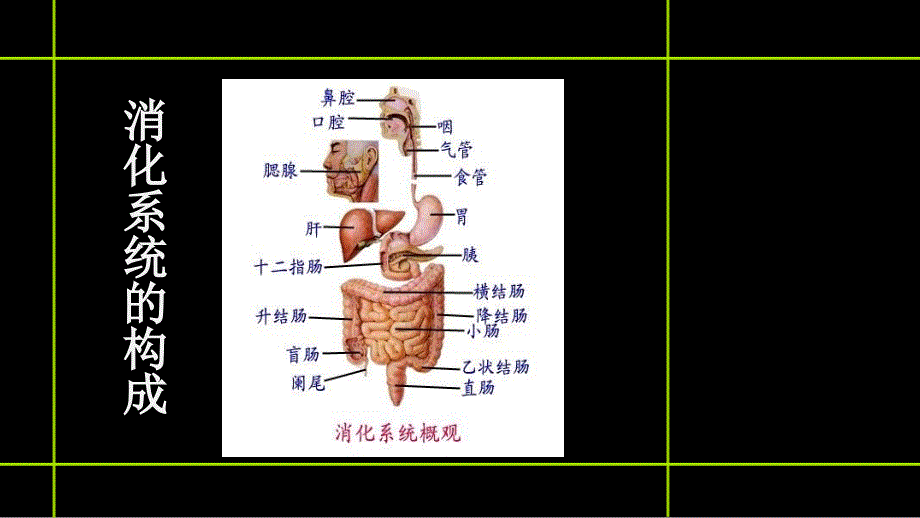 一例溃疡性结肠炎患者的用药分析ppt课件_第2页