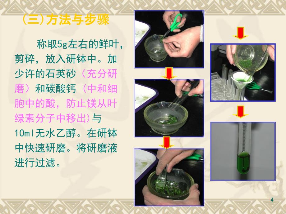 生物5.4能量之源光与光合作用课件新人教版必修1_第4页