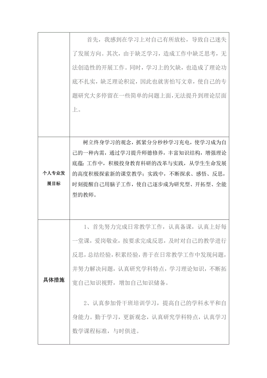 个人专业发展规划模板 (11).docx_第2页