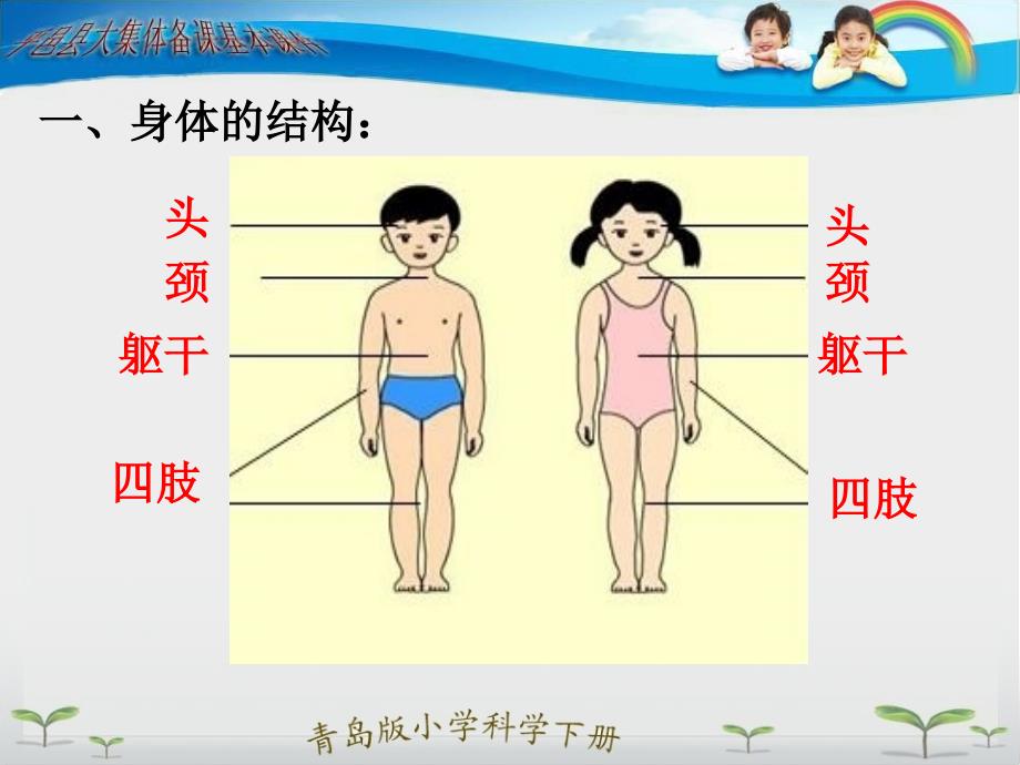 青岛版小学科学三年级下册我们的身体课件_第3页