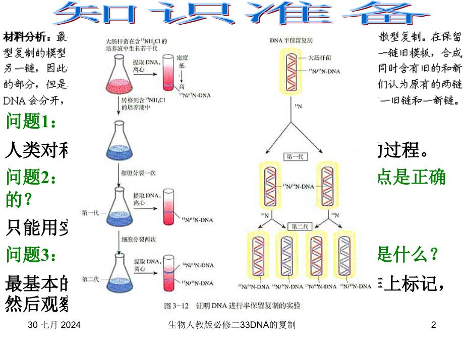 生物人教版必修二33DNA的复制课件_第2页