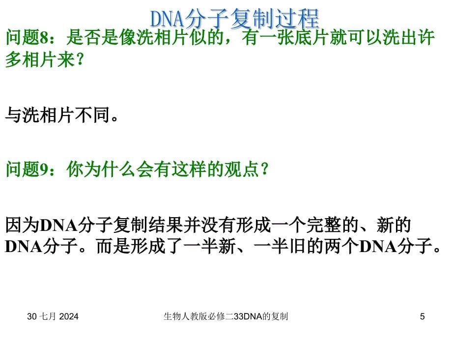 生物人教版必修二33DNA的复制课件_第5页