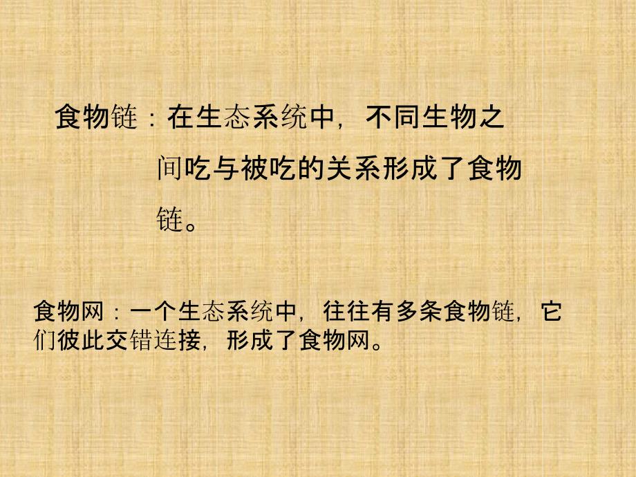 初中七年级生物上册第一单元第二章第二节生物与环境组成生态系统第2课时名师优质课件新版_第3页