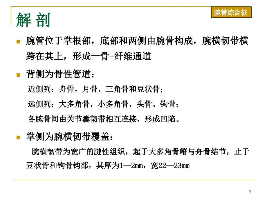 腕管综合症上肢神经卡压性疾病_第5页