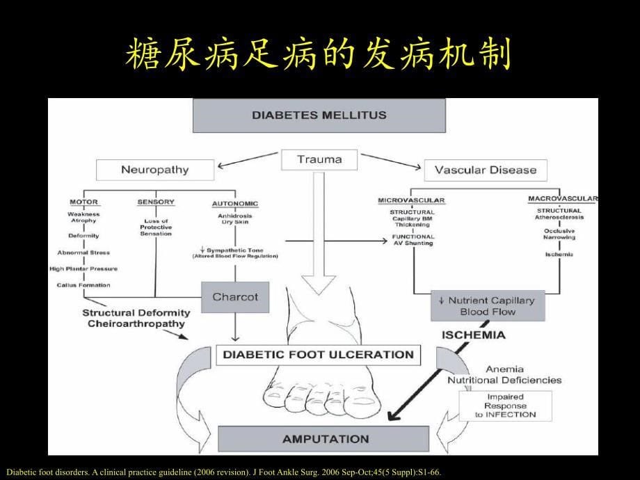 糖尿病足部护理和伤口护理杨兵全_第5页