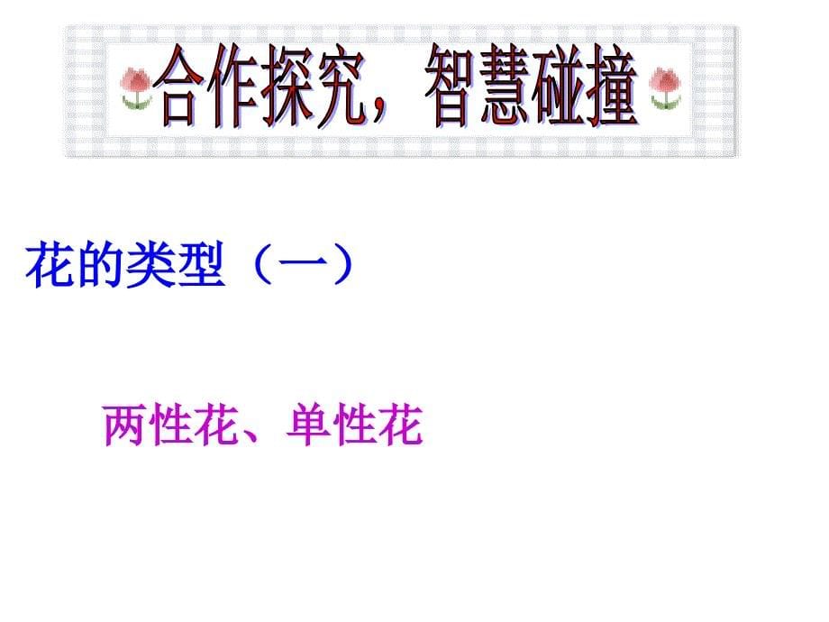 济南版八年级生物上册第四单元第一章《花的结构和类型》课件_第5页