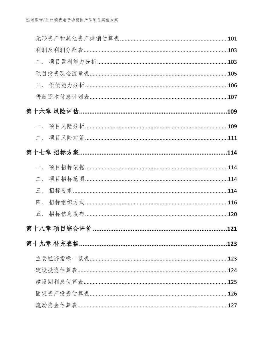 兰州消费电子功能性产品项目实施方案模板范文_第5页