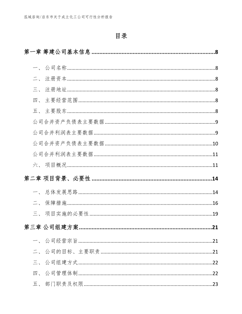 启东市关于成立化工公司可行性分析报告（模板参考）_第2页
