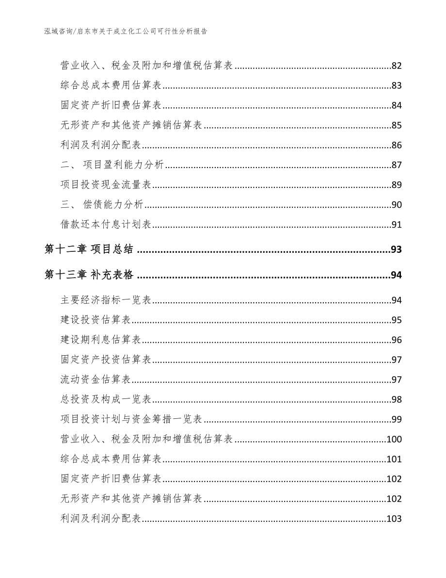启东市关于成立化工公司可行性分析报告（模板参考）_第5页