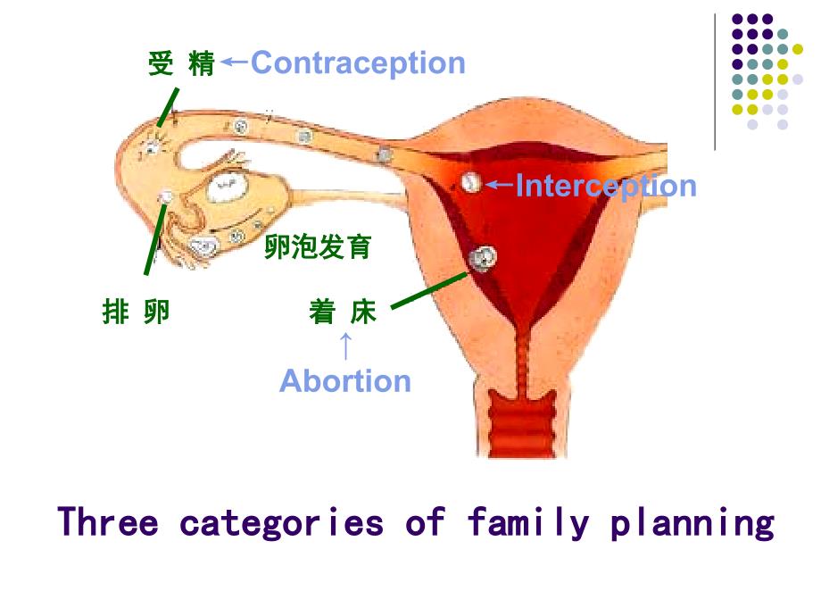 妇产科学教学课件：Family planning_第3页