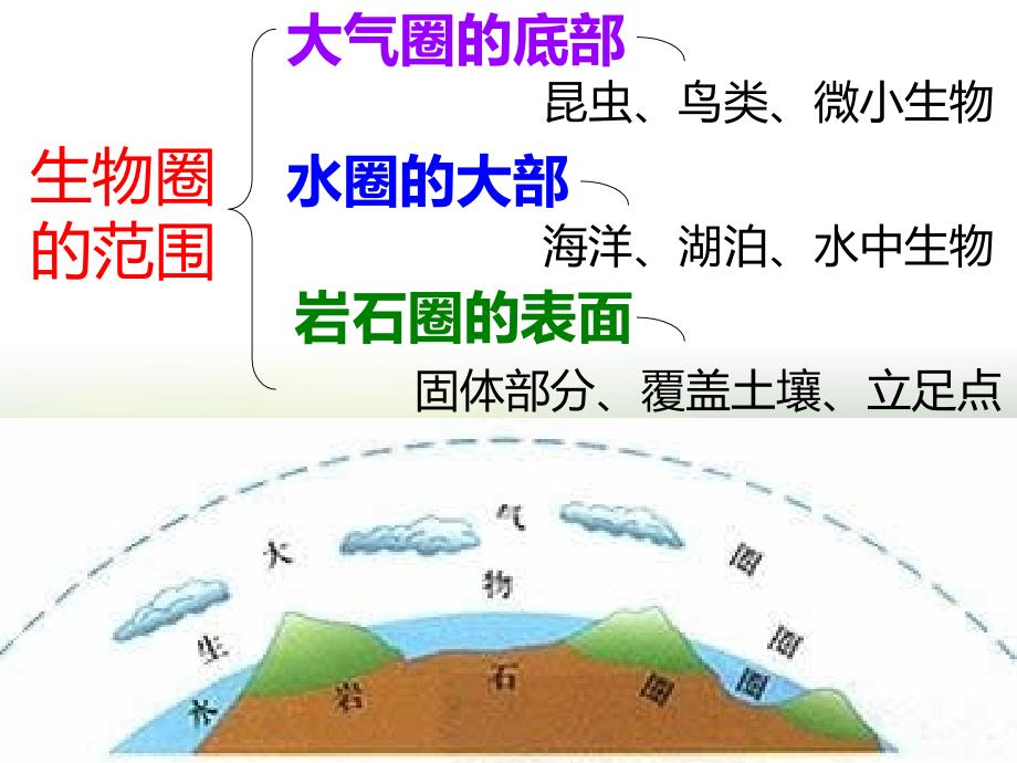 人教版七年级上册生物第一单元第二章第三节生物圈是最大的生态系统课件26张_第3页