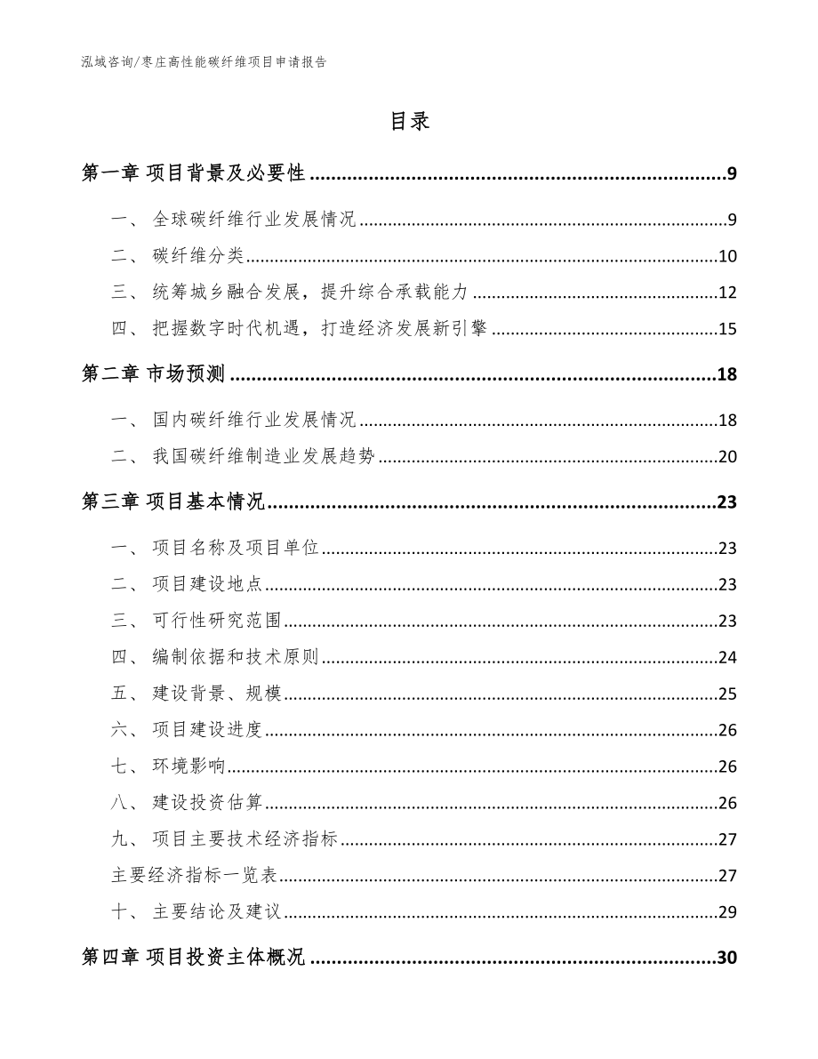 枣庄高性能碳纤维项目申请报告_模板范本_第2页