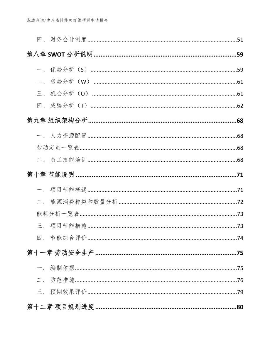 枣庄高性能碳纤维项目申请报告_模板范本_第4页