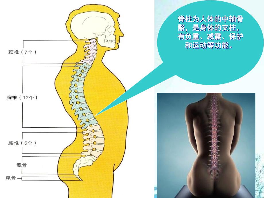 脊柱损伤的固定和搬运_第1页