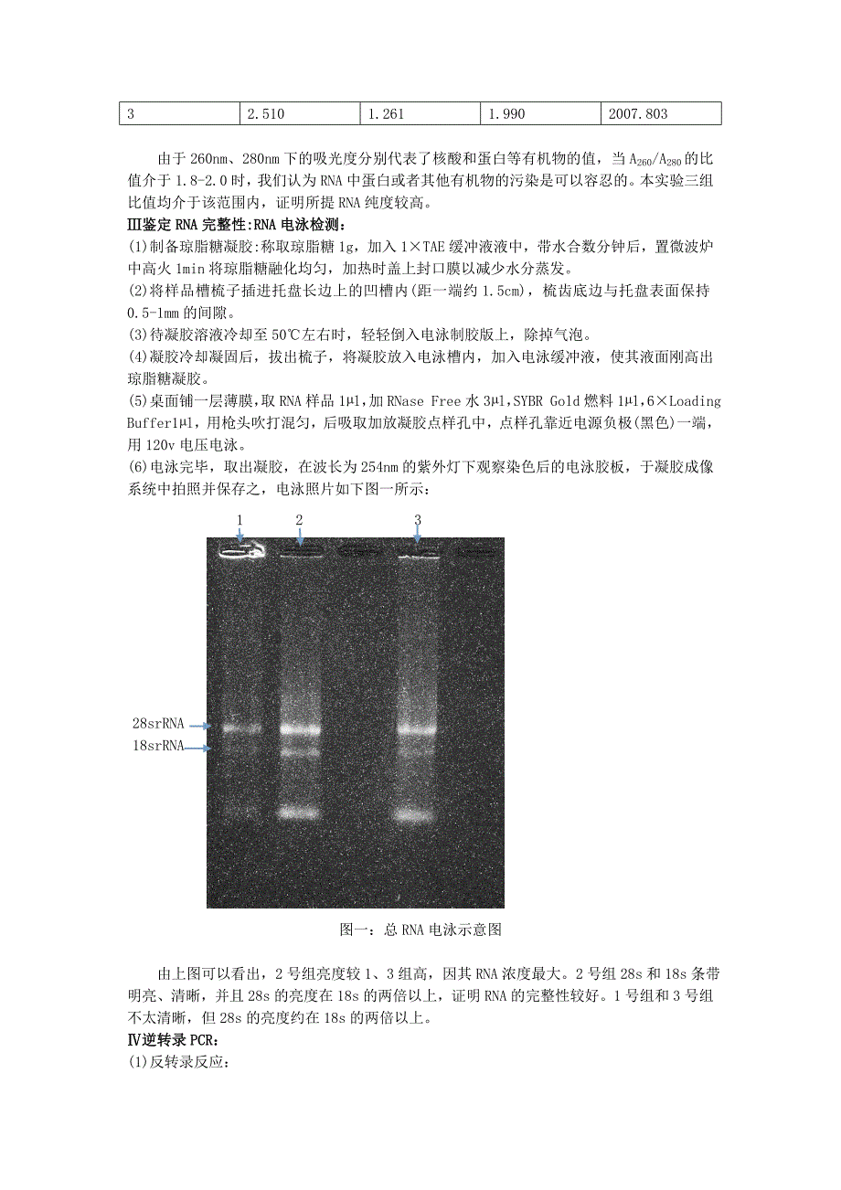 目的基因的获取.doc_第3页