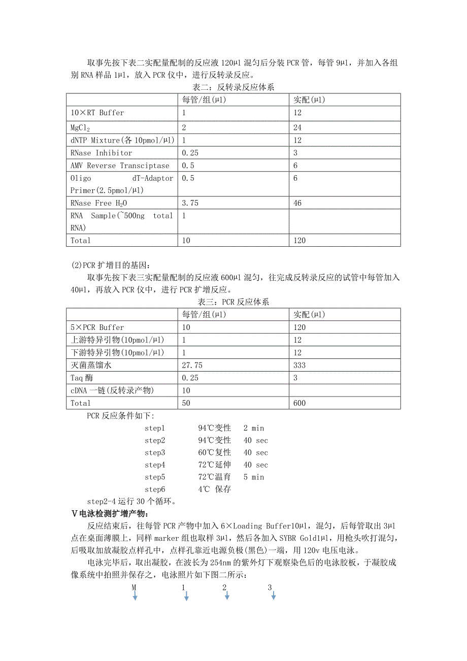 目的基因的获取.doc_第4页