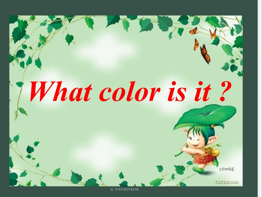 Whatcolorisitppt_第1页