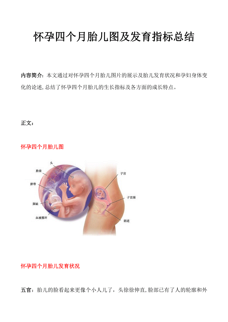 怀孕四个月胎儿图及发育指标总结_第1页