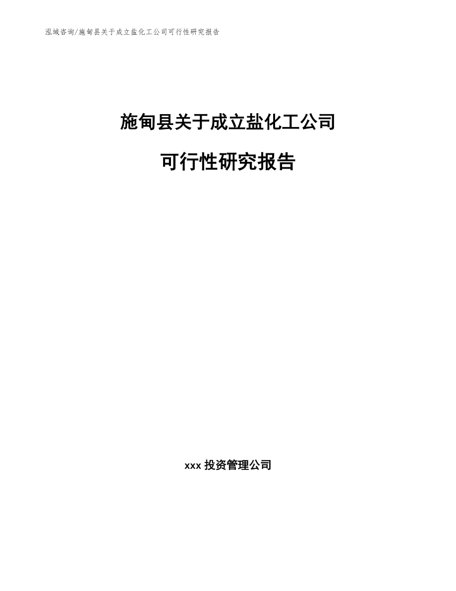 施甸县关于成立盐化工公司可行性研究报告模板参考_第1页