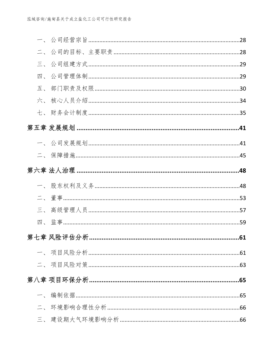 施甸县关于成立盐化工公司可行性研究报告模板参考_第3页